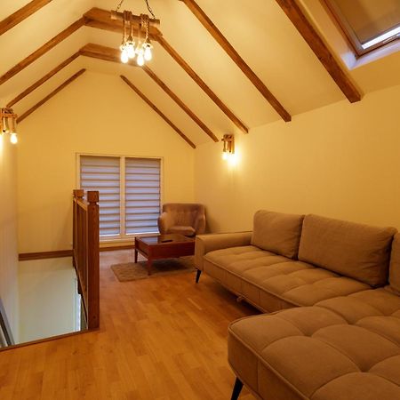 The Cozy Nook - Ultra Central Brasov Bagian luar foto